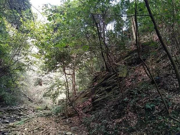 超黄金街霸4